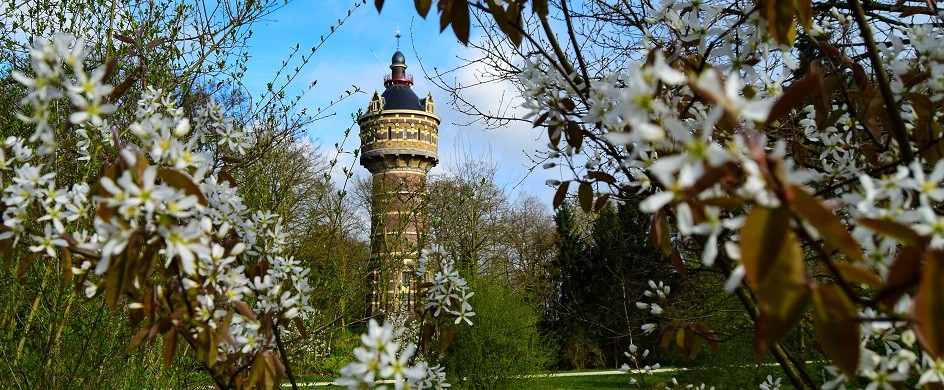 topbanner_voorjaar_3_watertoren